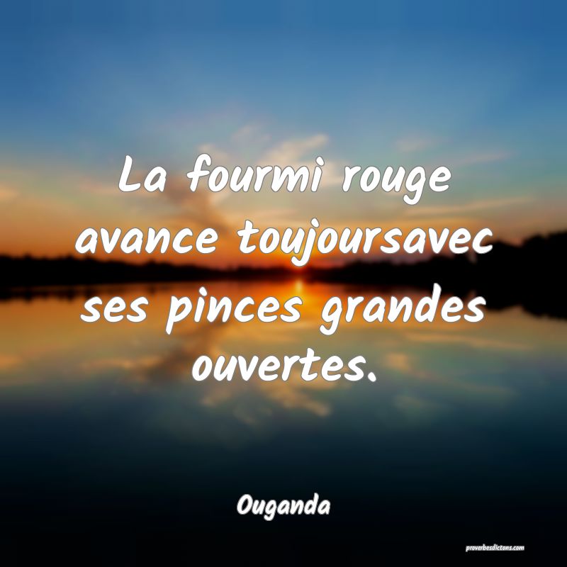  La fourmi rouge avance toujoursavec ses pinces grandes ouvertes.