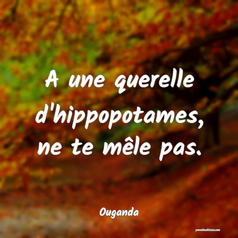  A une querelle d'hippopotames, ne te mêle pas.
