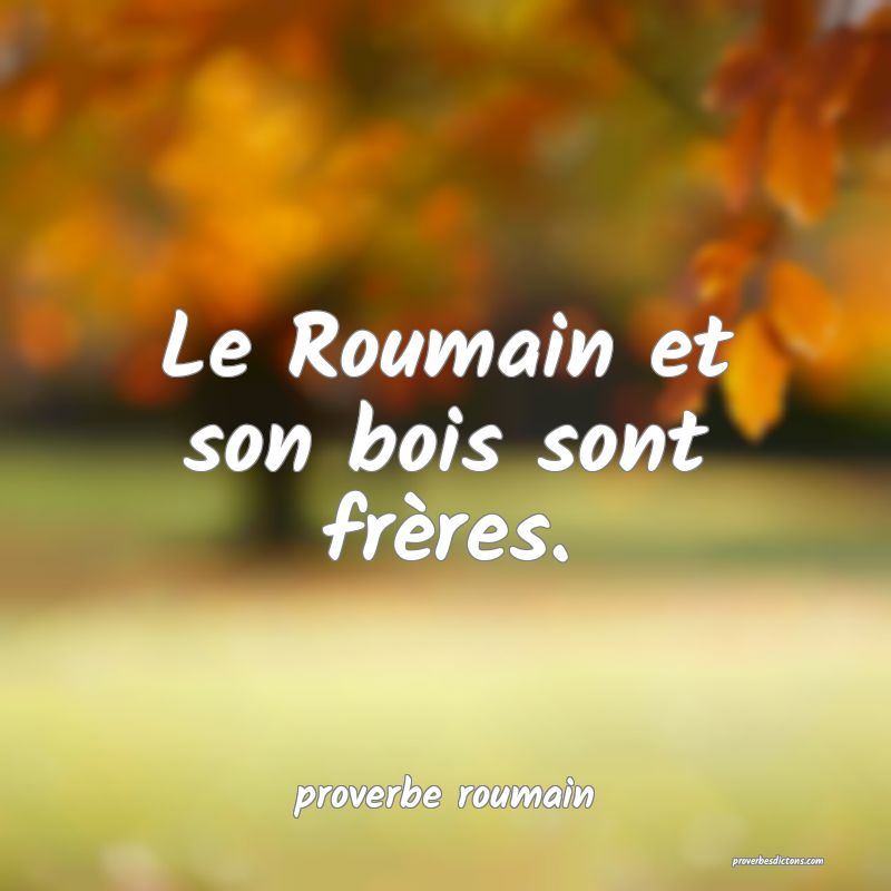  Le Roumain et son bois sont frères.