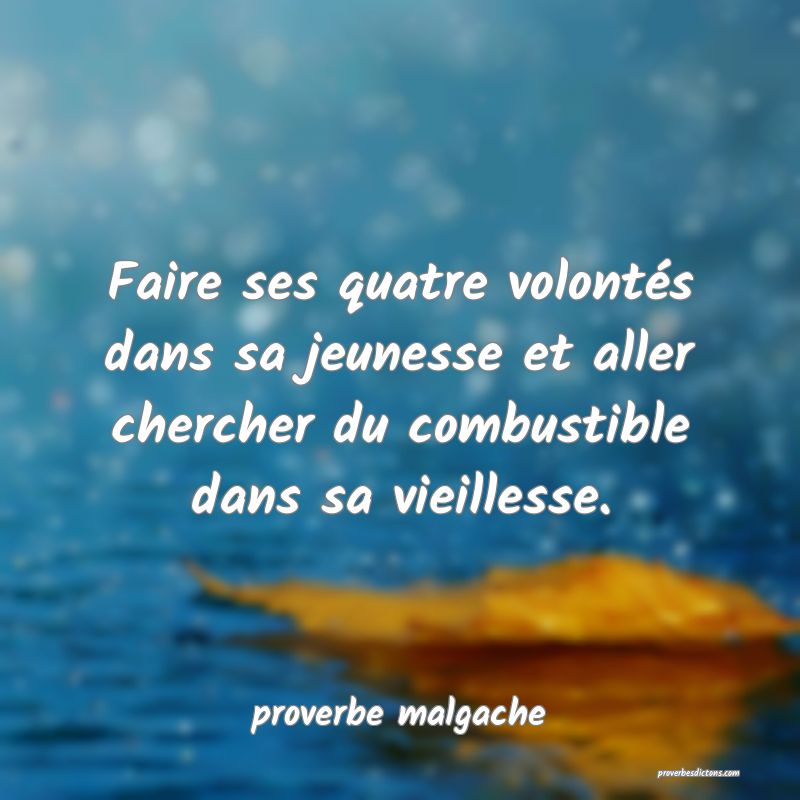  Faire ses quatre volontés dans sa jeunesse et aller chercher du combustible dans sa vieillesse.