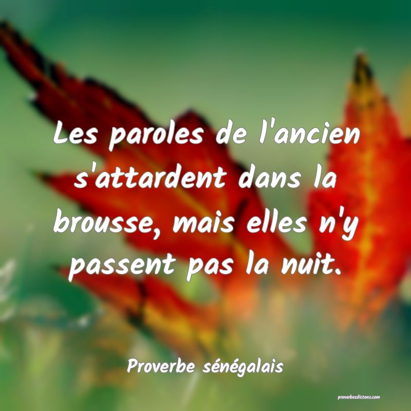  Les paroles de l'ancien s'attardent dans la brousse, mais elles n'y passent pas la nuit.