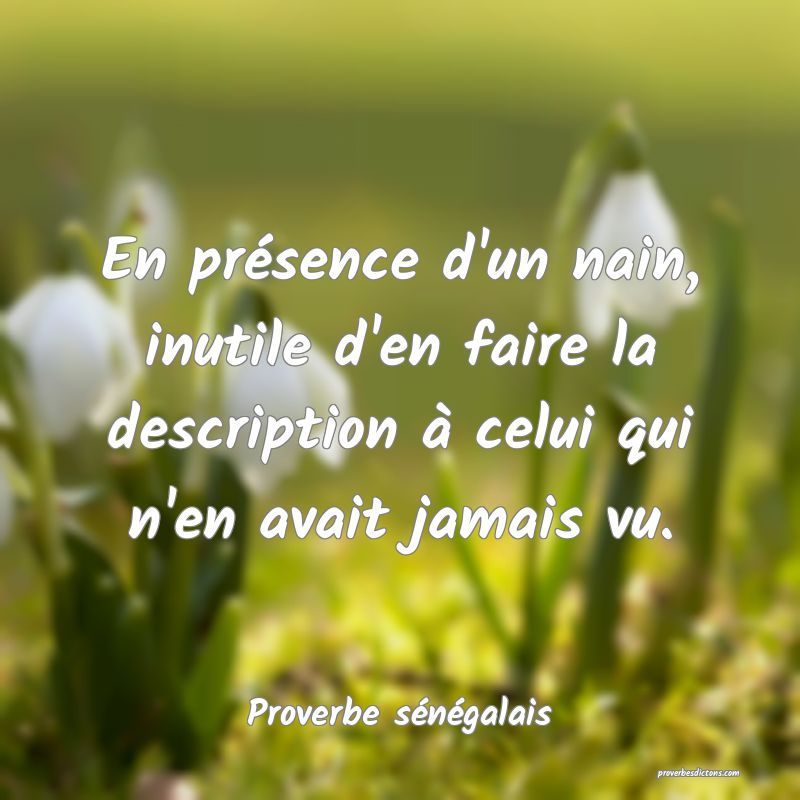  En présence d'un nain, inutile d'en faire la description à celui qui n'en avait jamais vu.