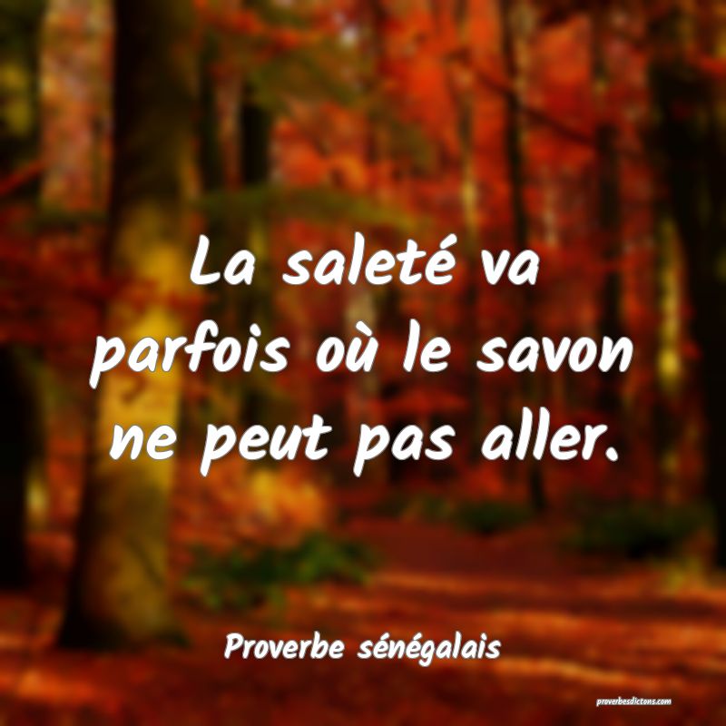  La saleté va parfois où le savon ne peut pas aller.