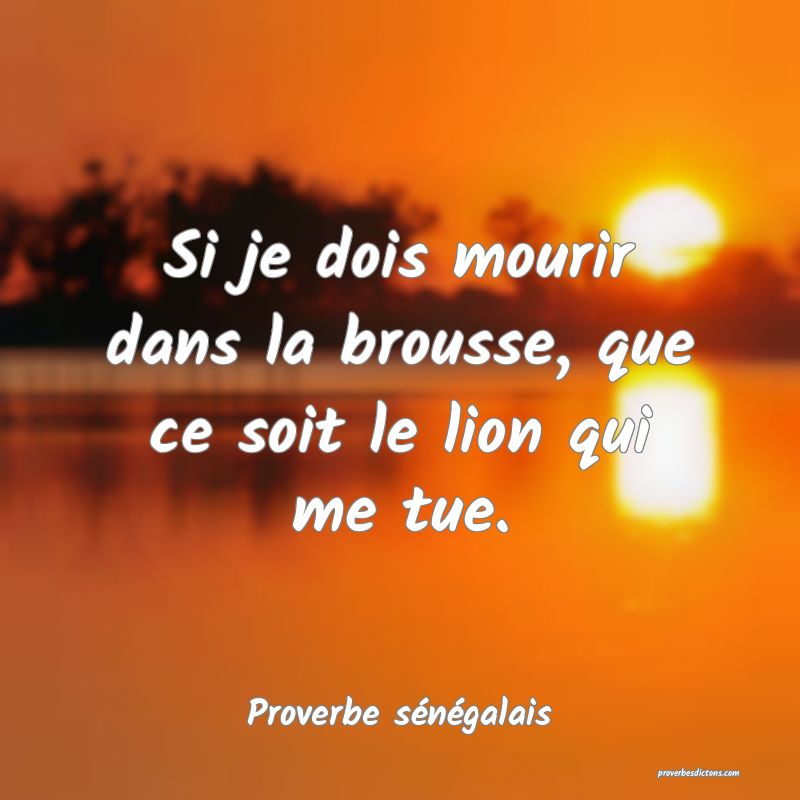  Si je dois mourir dans la brousse, que ce soit le lion qui me tue.