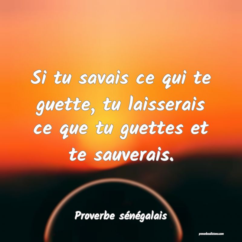  Si tu savais ce qui te guette, tu laisserais ce que tu guettes et te sauverais.