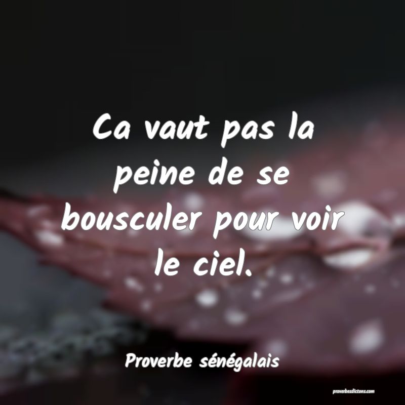  Ca vaut pas la peine de se bousculer pour voir le ciel.