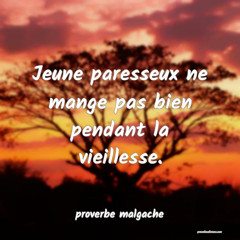  Jeune paresseux ne mange pas bien pendant la vieillesse.