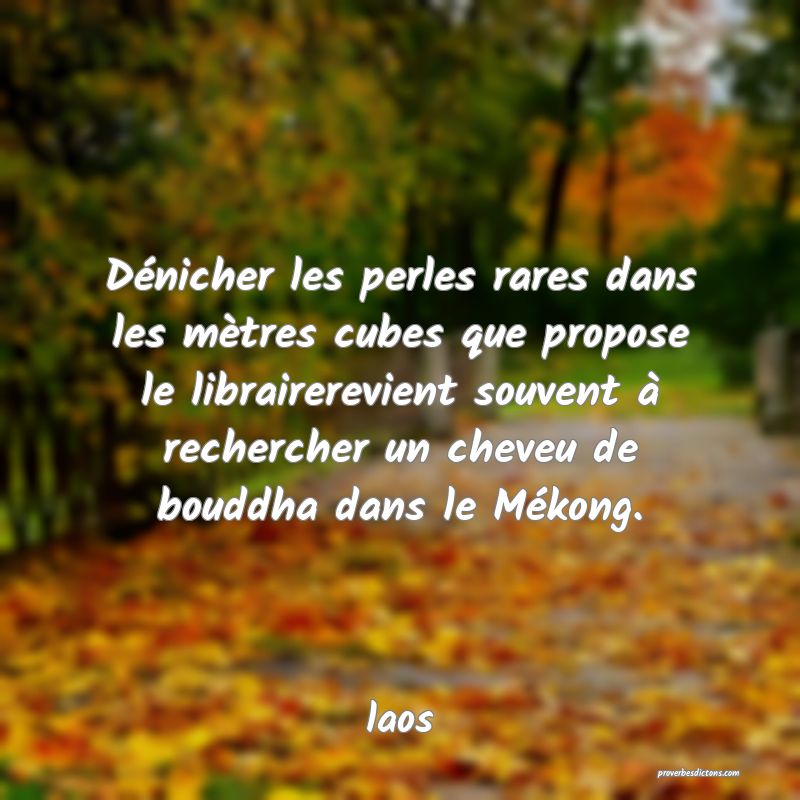  Dénicher les perles rares dans les mètres cubes que propose le librairerevient souvent à rechercher un cheveu de bouddha dans le Mékong.