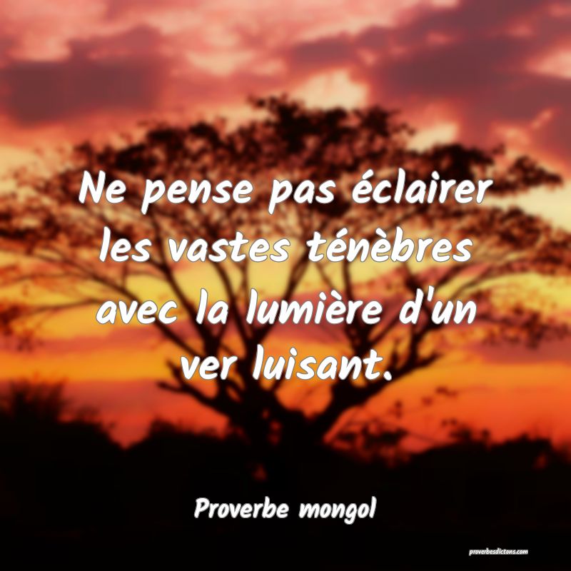  Ne pense pas éclairer les vastes ténèbres avec la lumière d'un ver luisant.