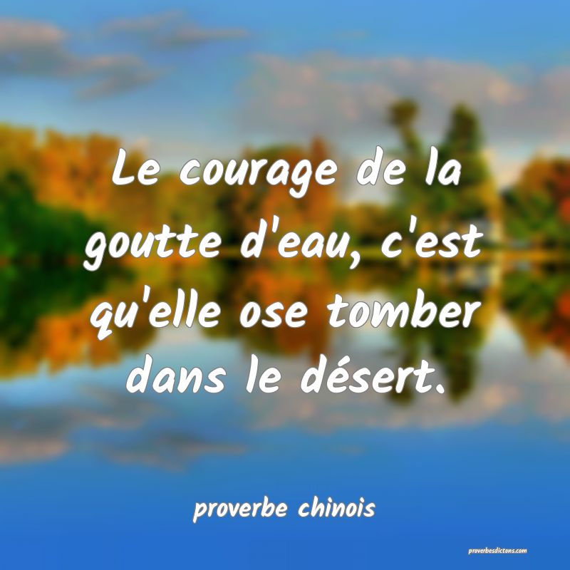  Le courage de la goutte d'eau, c'est qu'elle ose tomber dans le désert.