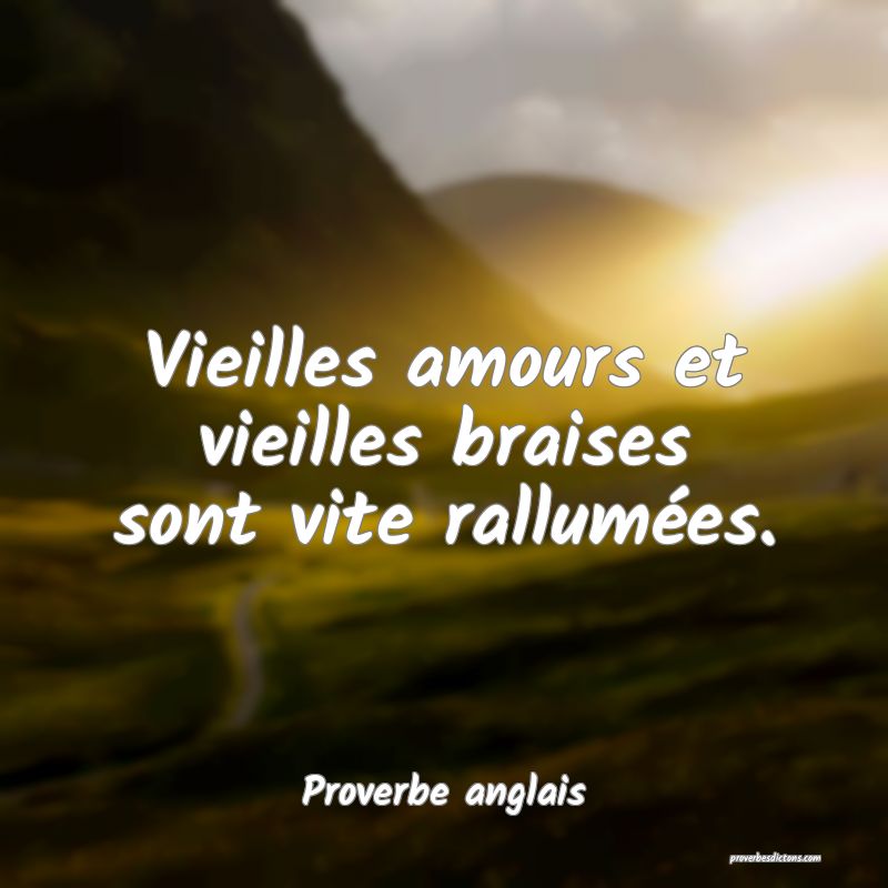  Vieilles amours et vieilles braises sont vite rallumées.