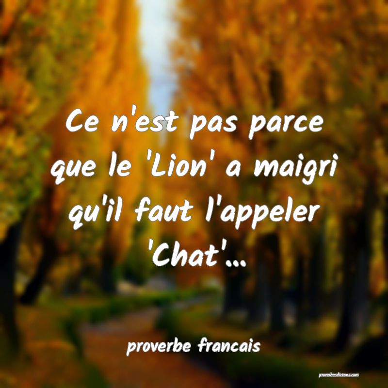  Ce n'est pas parce que le 'Lion' a maigri qu'il faut l'appeler 'Chat'...