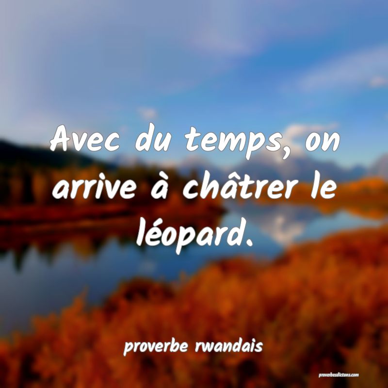  Avec du temps, on arrive à châtrer le léopard.