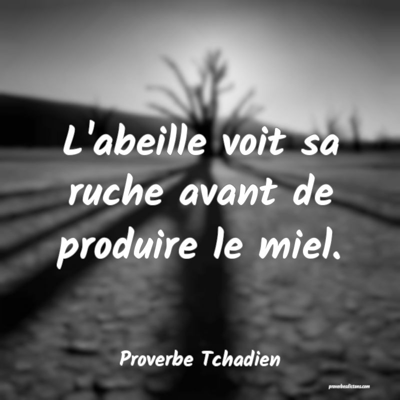  L'abeille voit sa ruche avant de produire le miel.