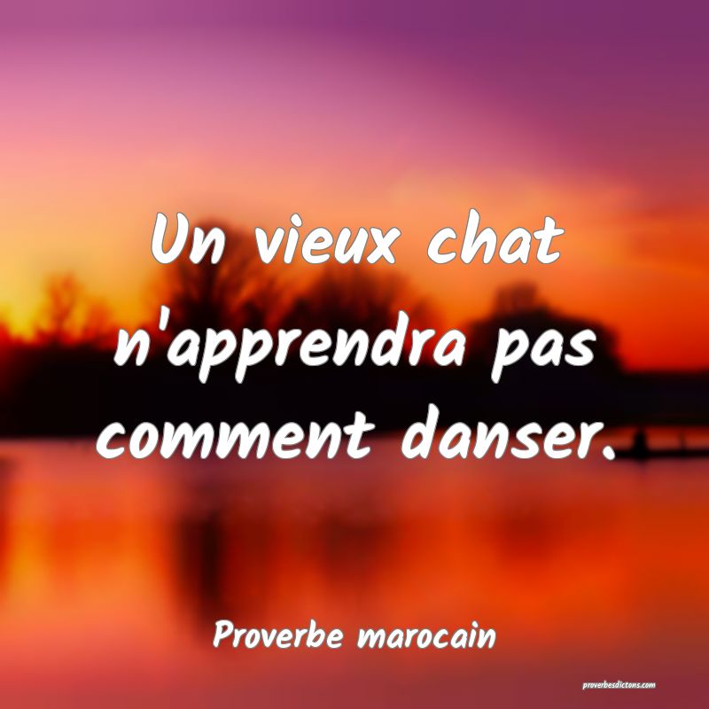  Un vieux chat n'apprendra pas comment danser.