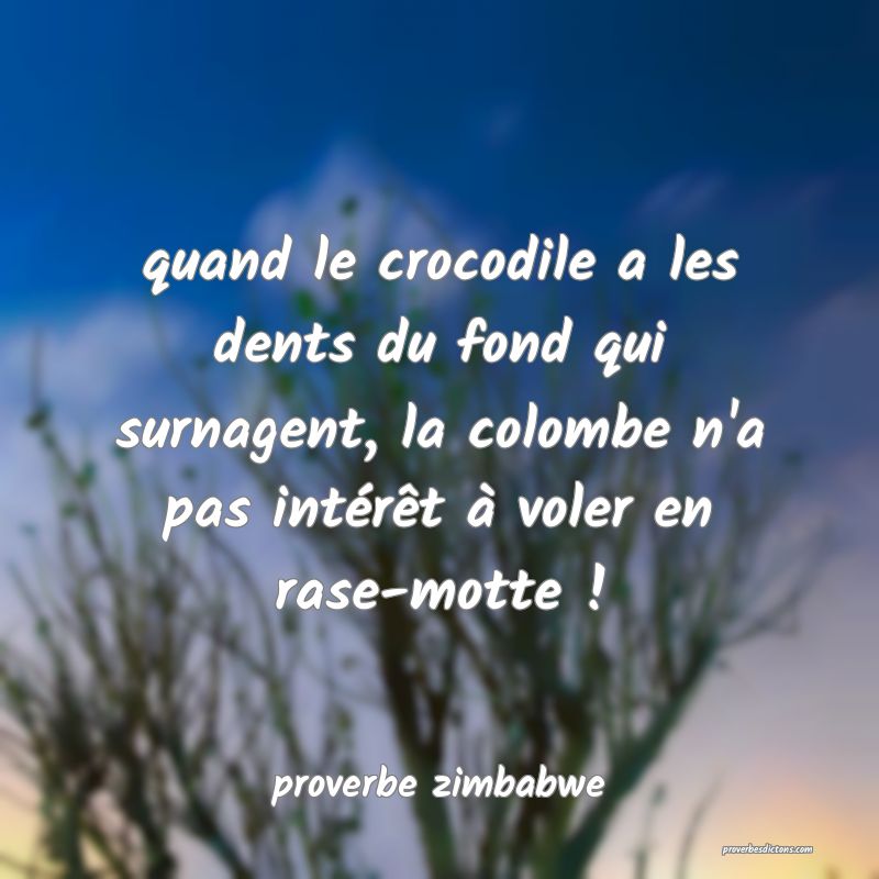  quand le crocodile a les dents du fond qui surnagent, la colombe n'a pas intérêt à voler en rase-motte !