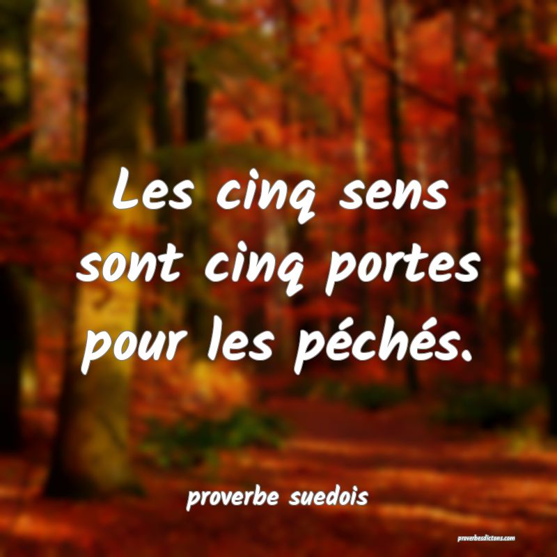  Les cinq sens sont cinq portes pour les péchés.