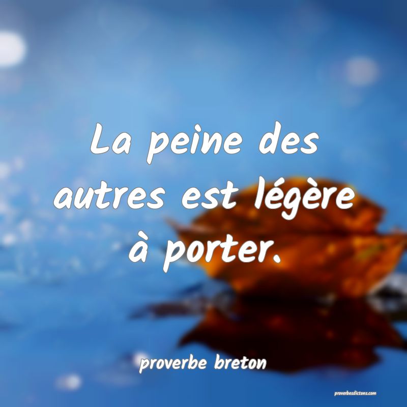  La peine des autres est légère à porter.