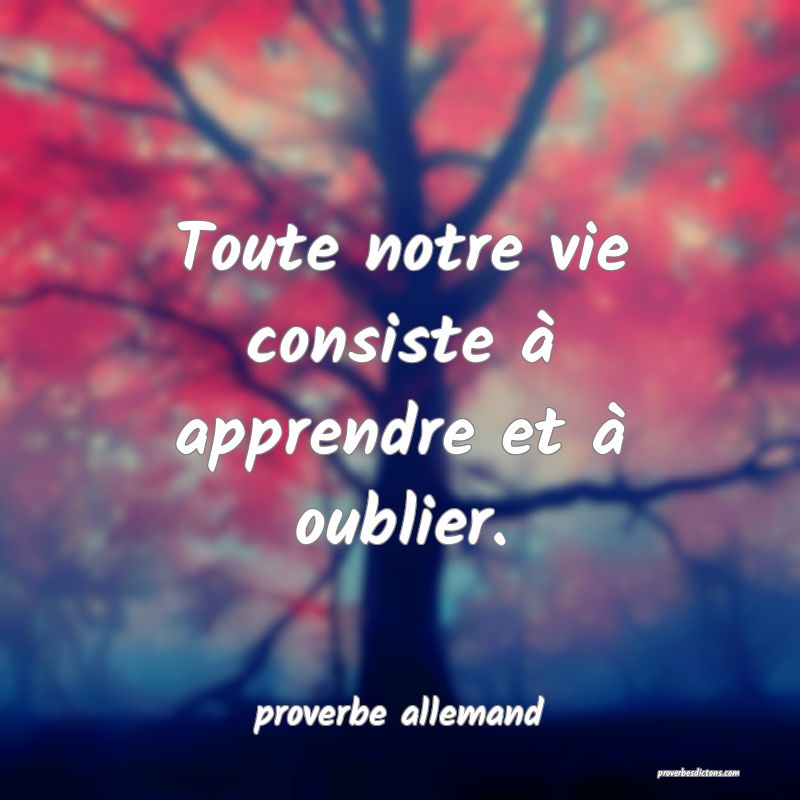  Toute notre vie consiste à apprendre et à oublier.