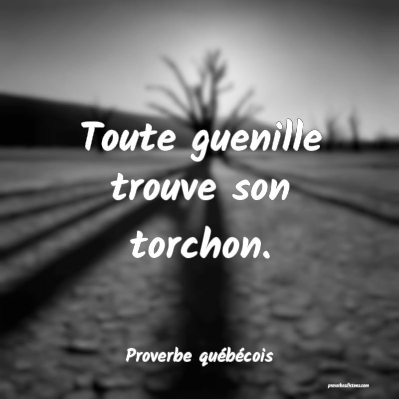  Toute guenille trouve son torchon.