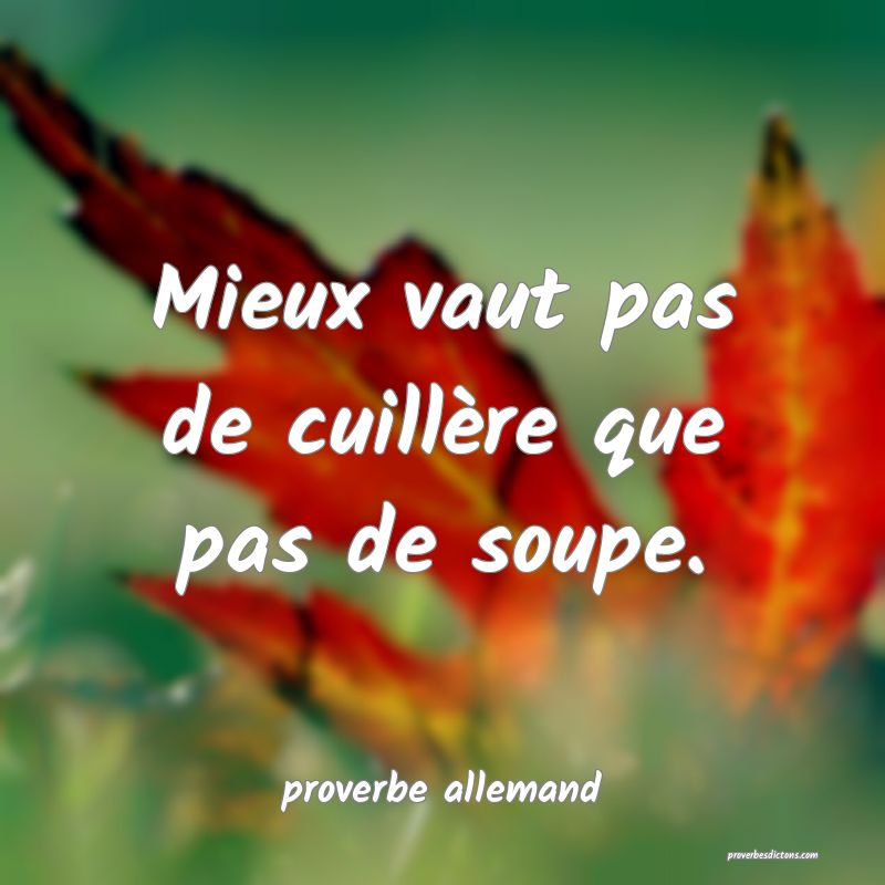  Mieux vaut pas de cuillère que pas de soupe.