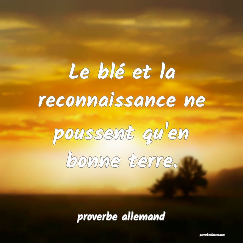  Le blé et la reconnaissance ne poussent qu'en bonne terre.