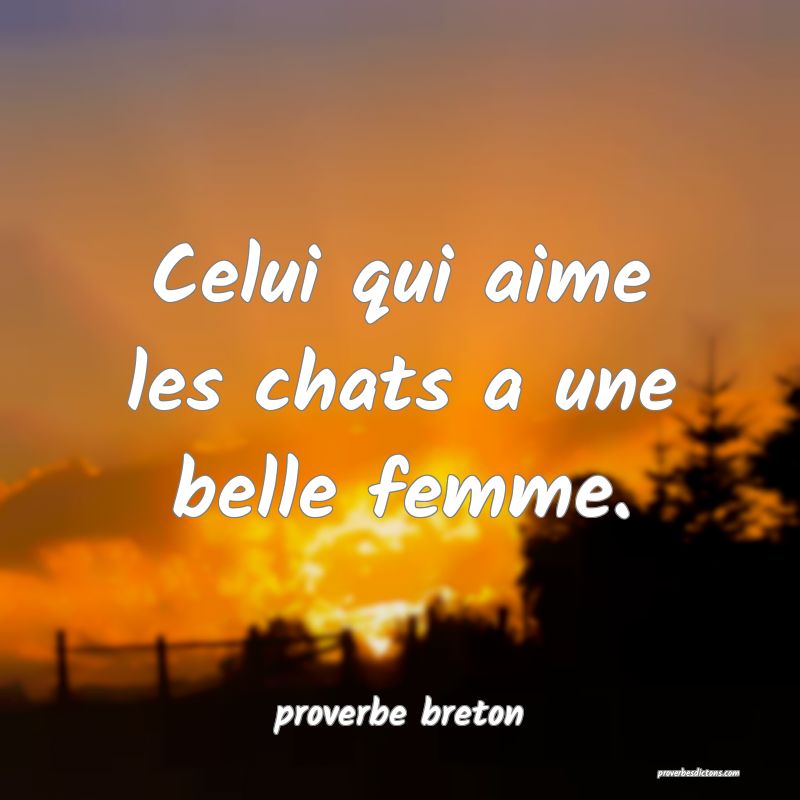  Celui qui aime les chats a une belle femme.