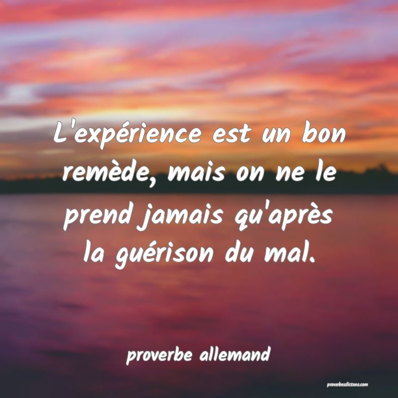  L'expérience est un bon remède, mais on ne le prend jamais qu'après la guérison du mal.