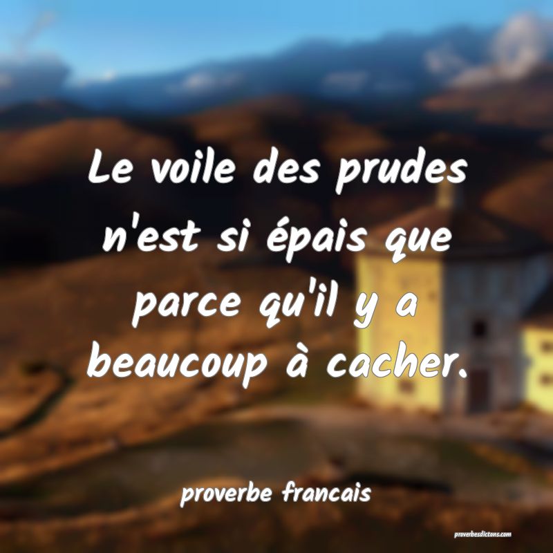  Le voile des prudes n'est si épais que parce qu'il y a beaucoup à cacher.