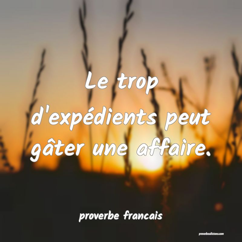  Le trop d'expédients peut gâter une affaire.