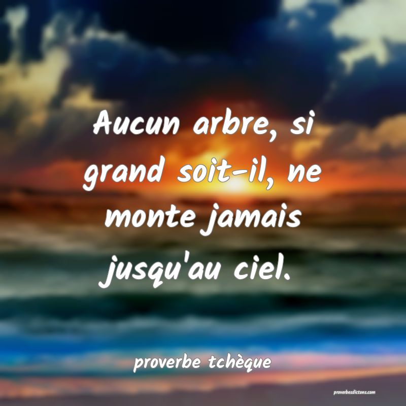 Aucun arbre, si grand soit-il, ne monte jamais jusqu'au ciel.