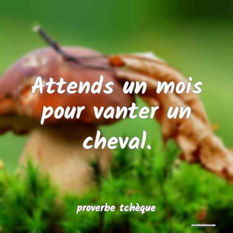  Attends un mois pour vanter un cheval.