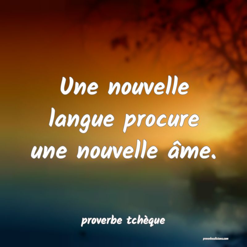  Une nouvelle langue procure une nouvelle âme.