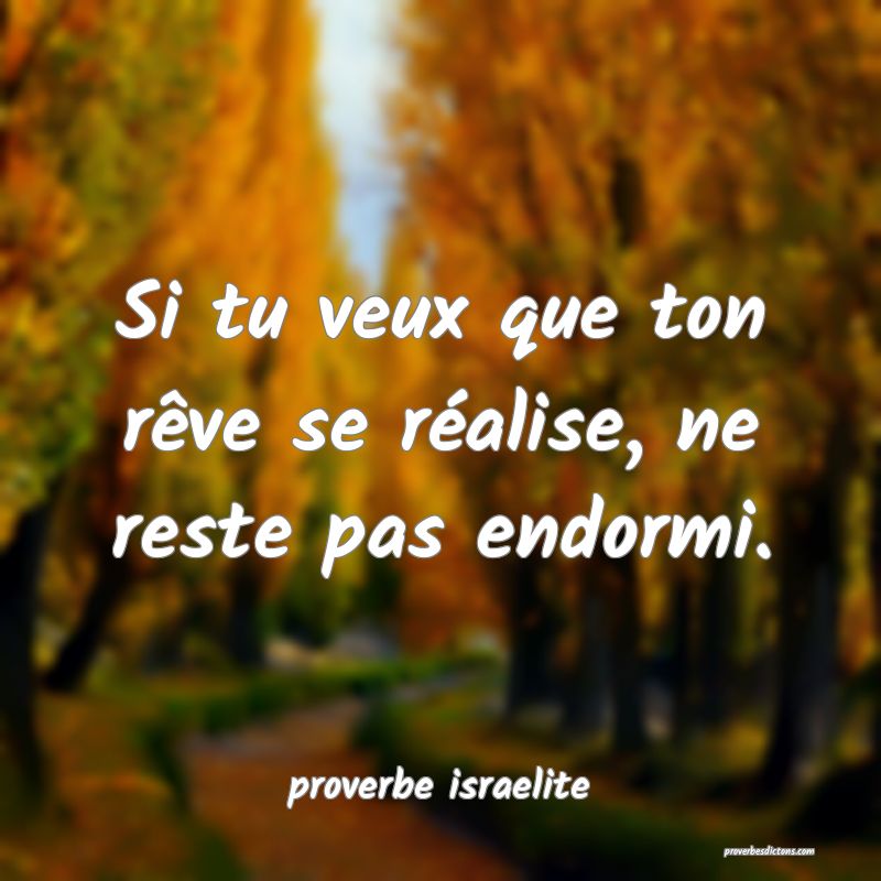  Si tu veux que ton rêve se réalise, ne reste pas endormi.