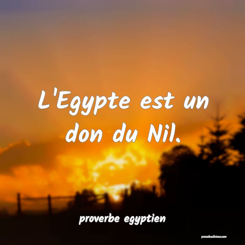 L'Egypte est un don du Nil.