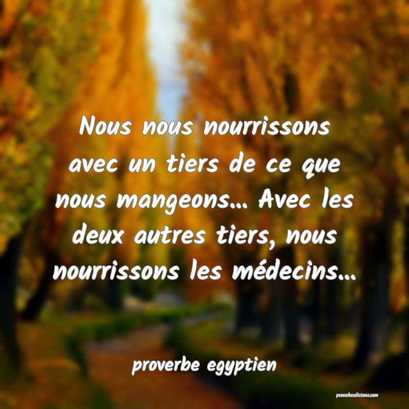 Nous nous nourrissons avec un tiers de ce que nous mangeons... Avec les deux autres tiers, nous nourrissons les médecins...