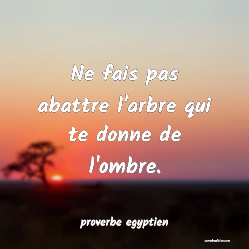 Ne fais pas abattre l'arbre qui te donne de l'ombre.