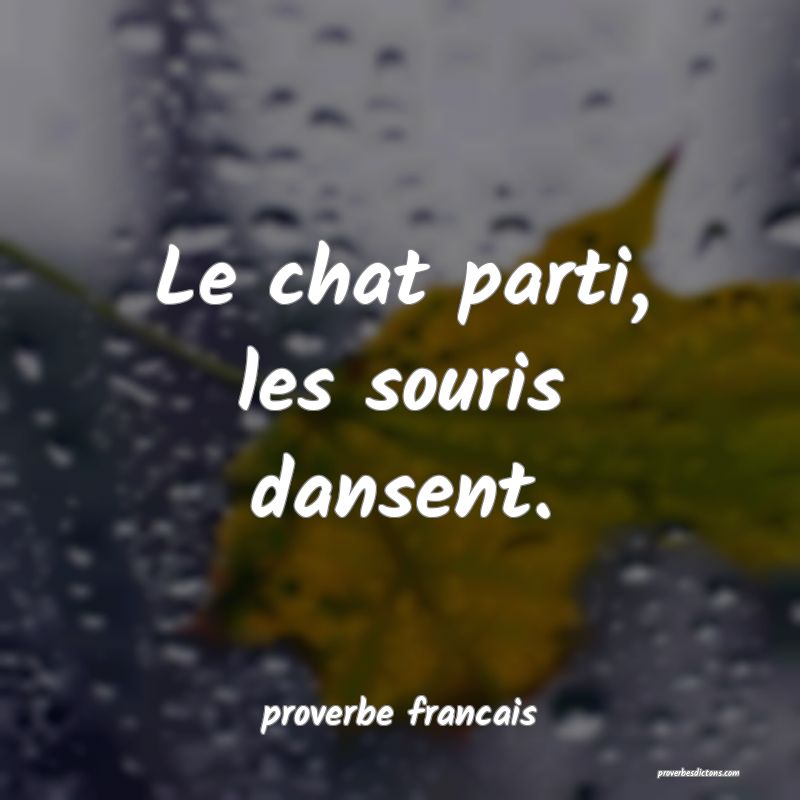  Le chat parti, les souris dansent.