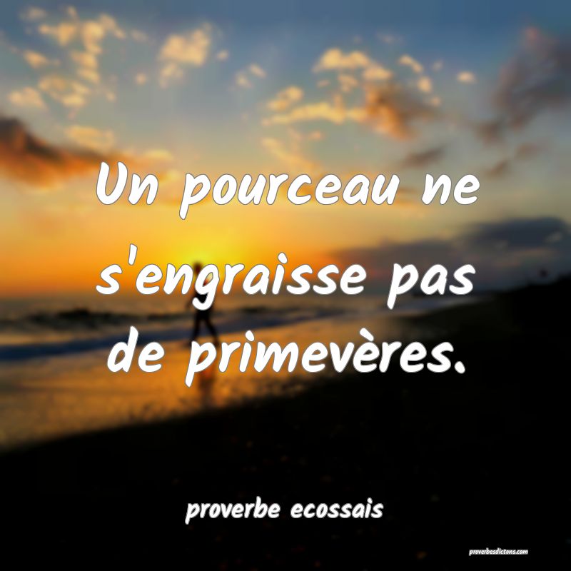  Un pourceau ne s'engraisse pas de primevères.