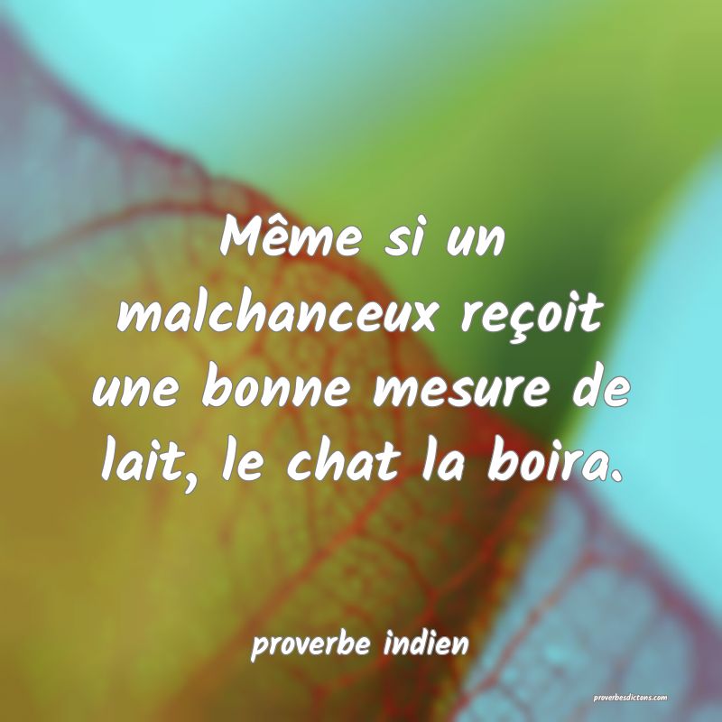  Même si un malchanceux reçoit une bonne mesure de lait, le chat la boira.