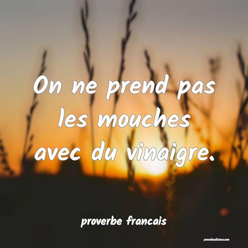  On ne prend pas les mouches avec du vinaigre.