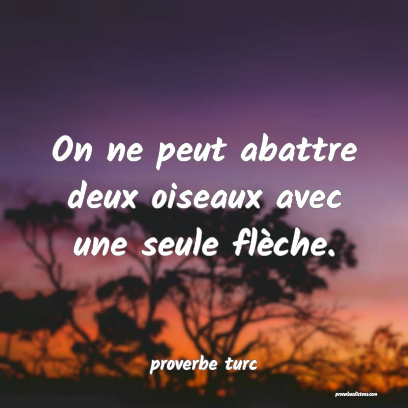  On ne peut abattre deux oiseaux avec une seule flèche.