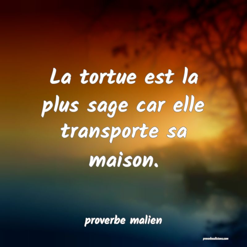  La tortue est la plus sage car elle transporte sa maison.