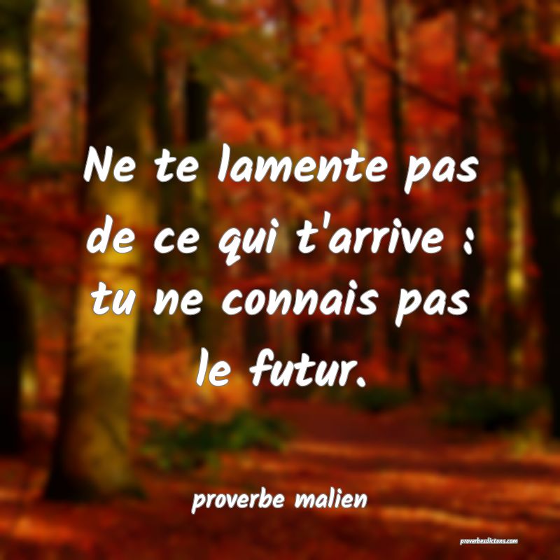  Ne te lamente pas de ce qui t'arrive : tu ne connais pas le futur.