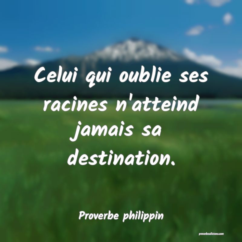  Celui qui oublie ses racines n'atteind jamais sa destination.