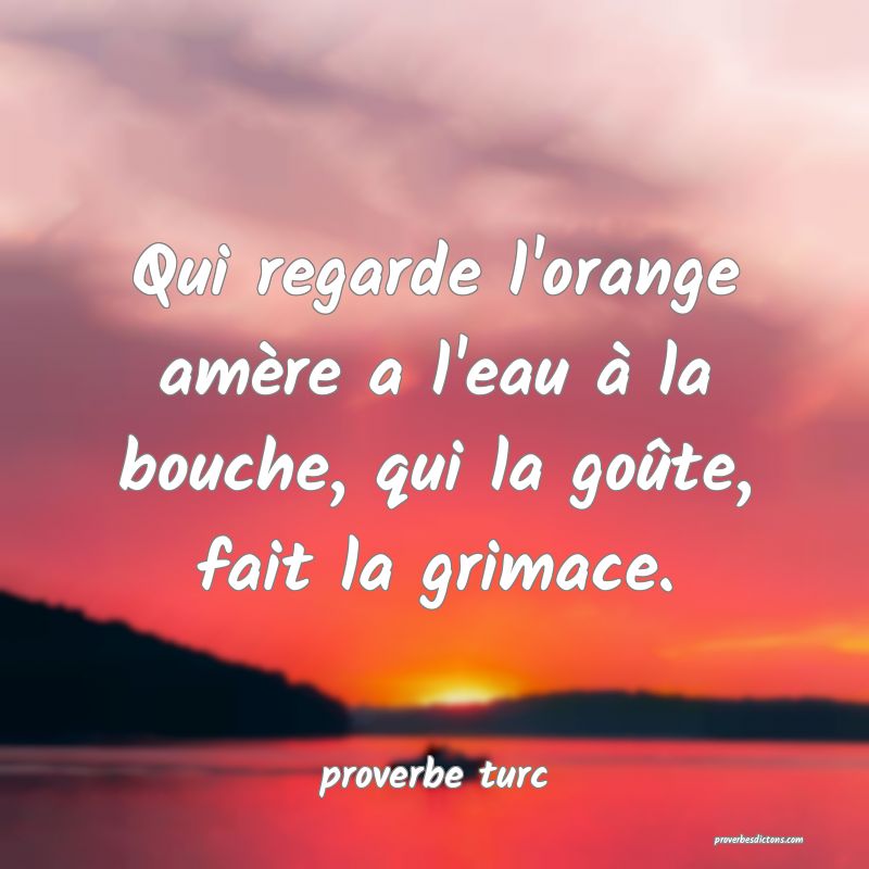  Qui regarde l'orange amère a l'eau à la bouche, qui la goûte, fait la grimace.