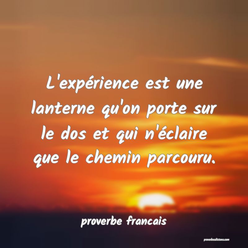  L'expérience est une lanterne qu'on porte sur le dos et qui n'éclaire que le chemin parcouru.
