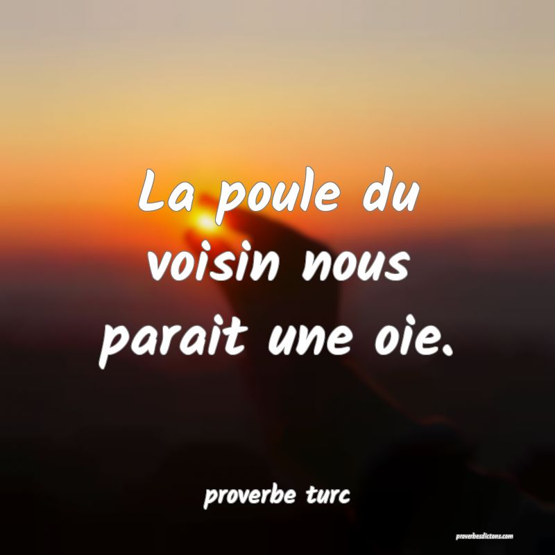  La poule du voisin nous parait une oie.