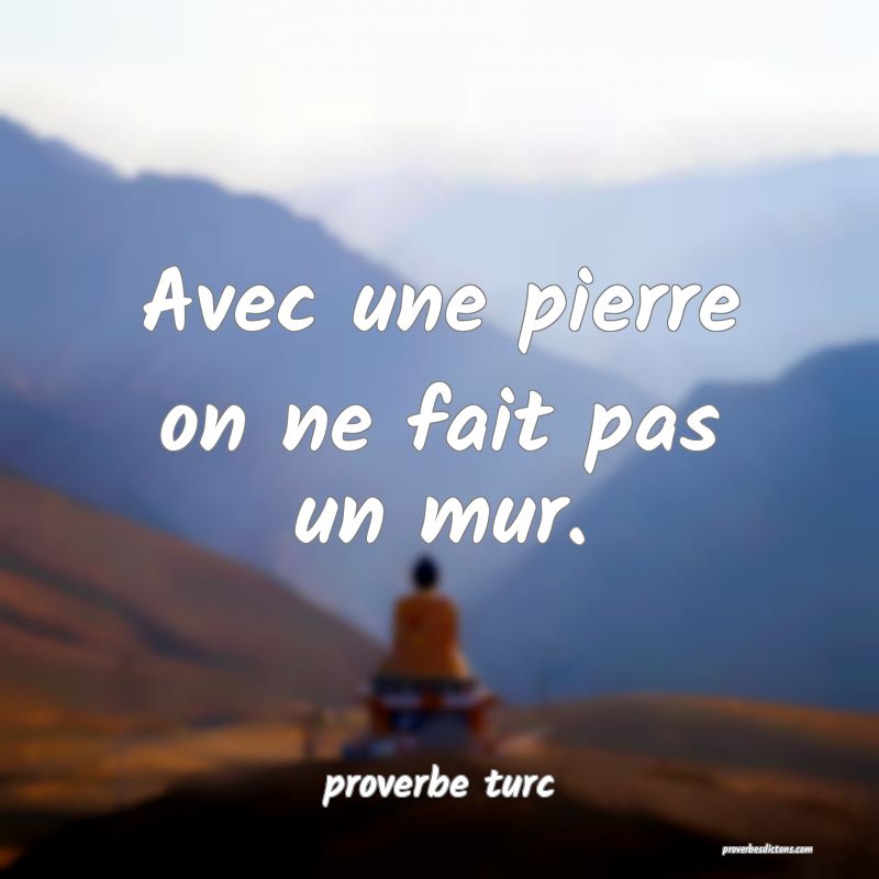  Avec une pierre on ne fait pas un mur.