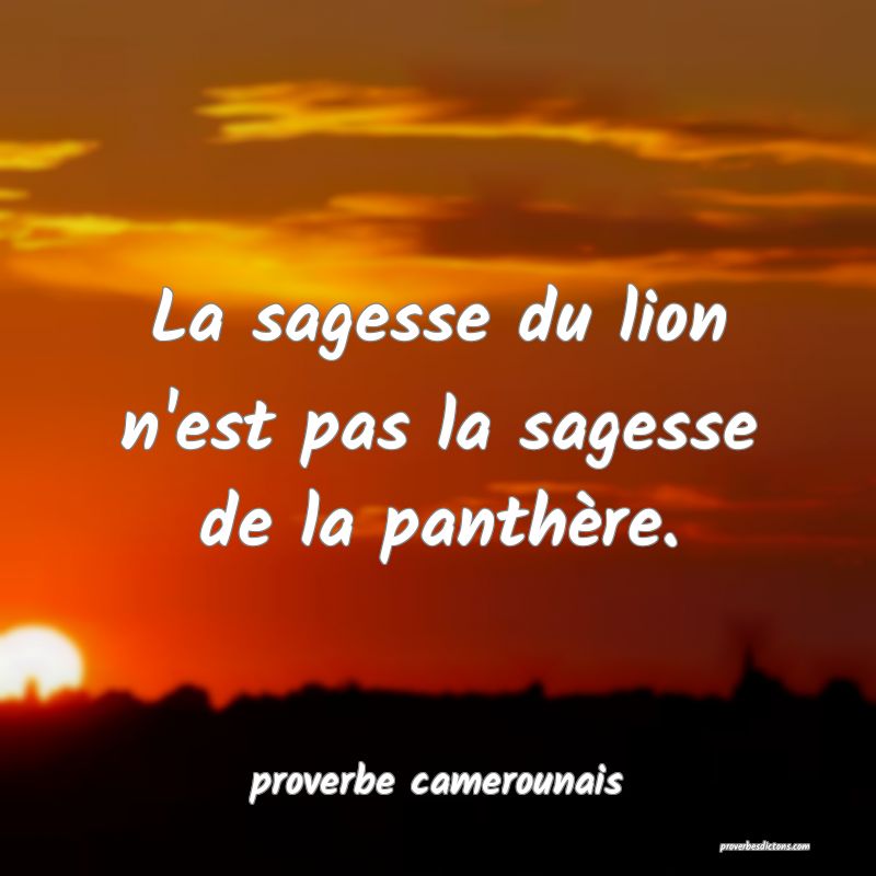  La sagesse du lion n'est pas la sagesse de la panthère.
